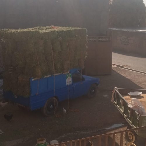 کاربانیسان حمل مصالح ساختمانی.داخل استان