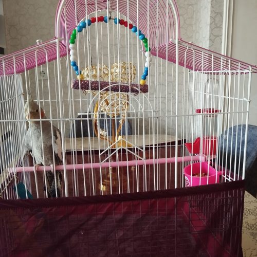 فروختن جا نداشتن برای مسافرت