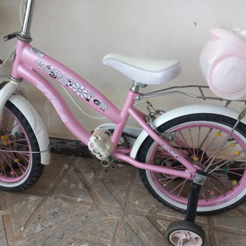 دوچرخه دخترانه 16