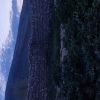 فروش مغازه