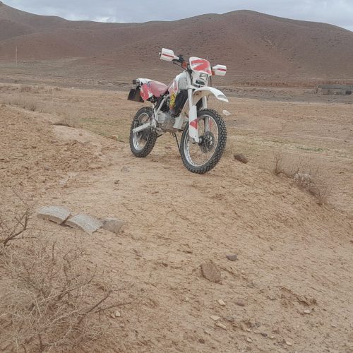 موتور تریل احسان فروشی