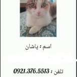 گمشده