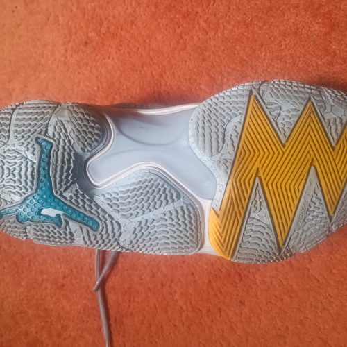 کفش بسکتبال Jordan why not.6