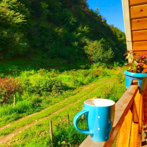 اجاره کلبه رویایی بسیار تمیز و امن