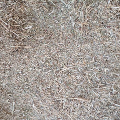 خار شوره مخصوص گوسفند گاو شتر