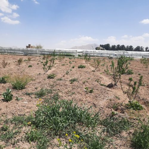 فروش باغ