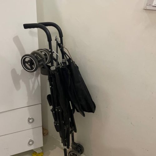 کالسکه برند تاینی عصایی