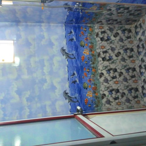 اجاره آرامش وتمیزی با ویلا دوبلکس جنگلی نوساز