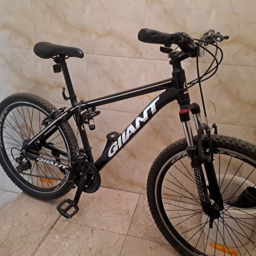دوچرخه نو جاینت