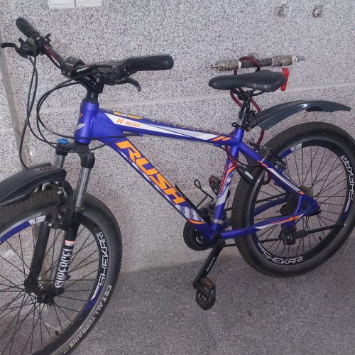 دوچرخه شهری