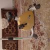 دوچرخه ثابت خانگی