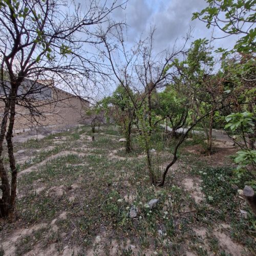 فروش زمین وباغ