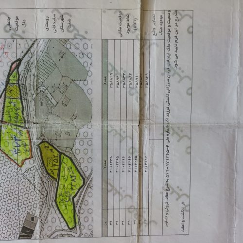 فروش باغ چای