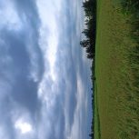 فروش زمین شالیزار