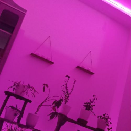 استندچوبی‌گل
