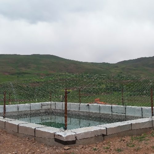 باغ گیلاس درساربانک