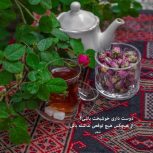 آیفون صوتی برا درو حیات.