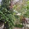باغچه.خانه باغ.ویلا