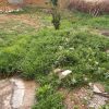 خانه ویلایی