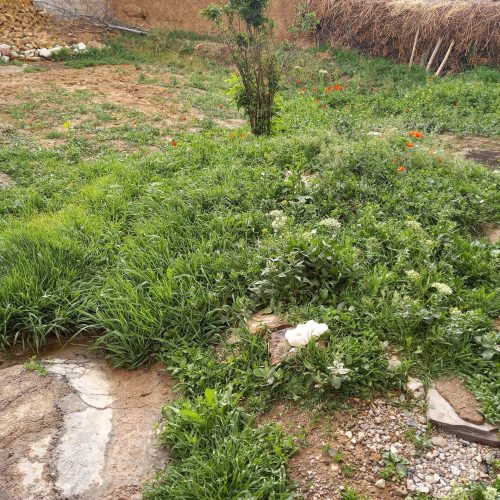 خانه ویلایی