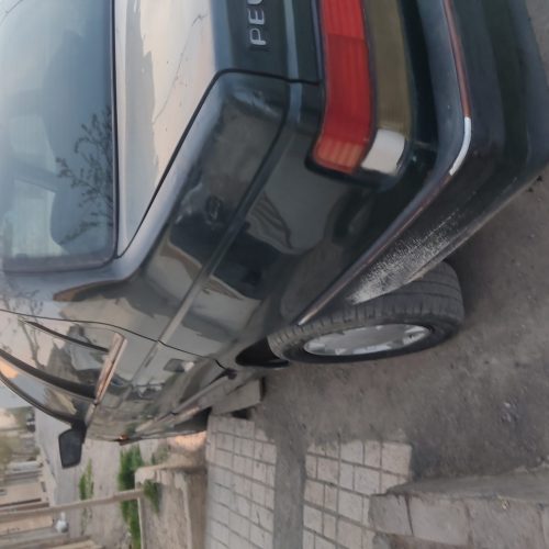 پژوRDدوگانه سوز
