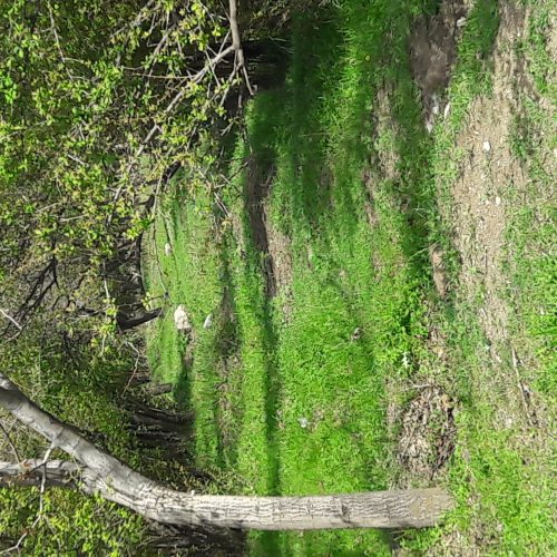 با سلام و عرض ادب. یک قطعه زمین به مساحت 690 متر واقع در دهستان باویل شهرستان اسکو به فروش می رسد .