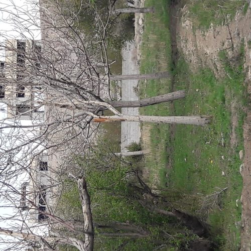 با سلام و عرض ادب. یک قطعه زمین به مساحت 690 متر واقع در دهستان باویل شهرستان اسکو به فروش می رسد .
