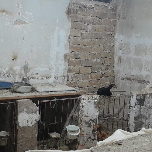 خانه ویلایی