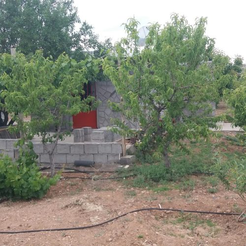 باغ کشاورزی