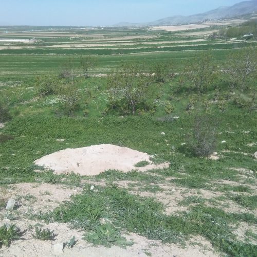 یک قطعه زمین کشاورزی در روستای زمانصوفی  کلاته سیدا کنار تپه باستانی متراژ (چهار من) قیمت توافقی