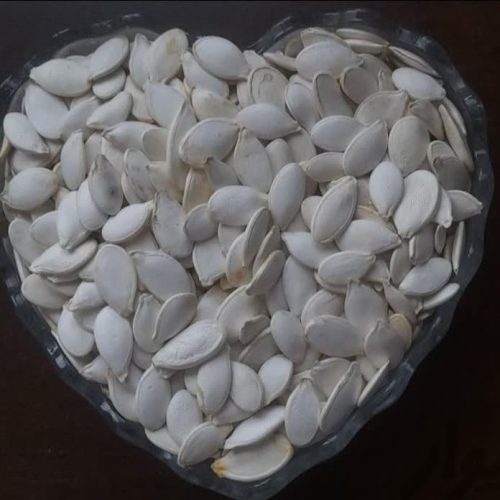 تخمه کدو صدفی