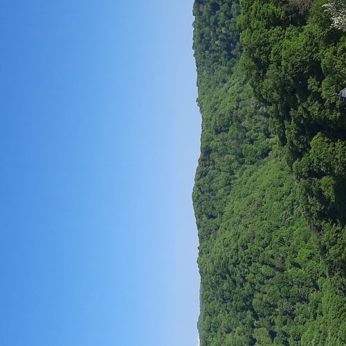 اجاره ویلا اجارهی