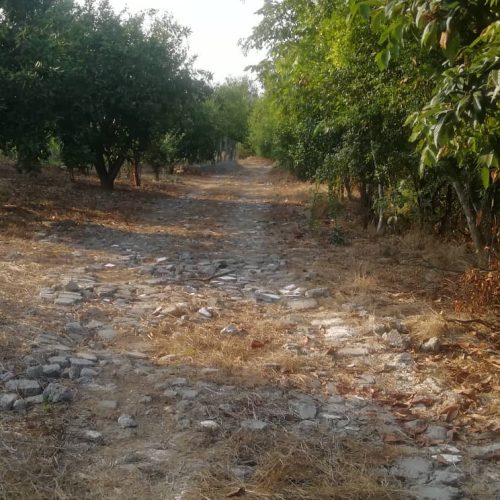 1050 متر زمین قلم باغ در نزدیکترین فاصله به شهر