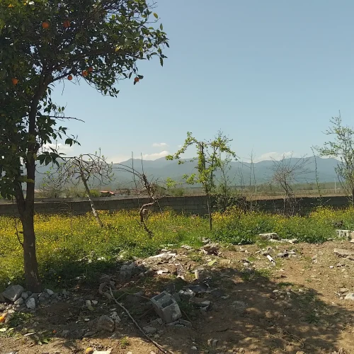 فروش زمین مسکونی