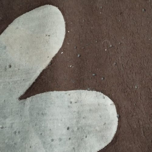 3عدد فرش 6متری