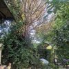 باغچه.خانه باغ.ویلا