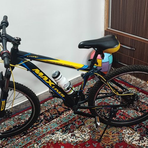 دوچرخه مکس لاینر ایتالیایی