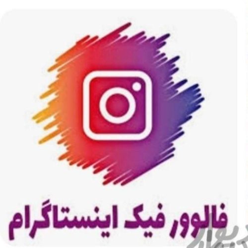 فالوور اینستا