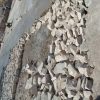 سنگکاری پی المتربندی گودبرداری