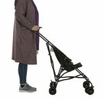 کالسکه برند تاینی عصایی