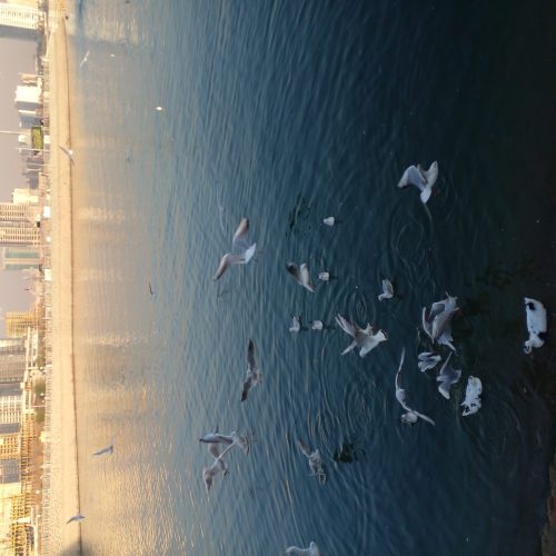 انجام کلیه امور فنی وخذمآتی