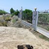 باغ مرکبات 3000 متری جویبار با خانه