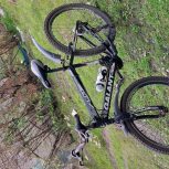 کاملا سالمه و مشکلی نداره