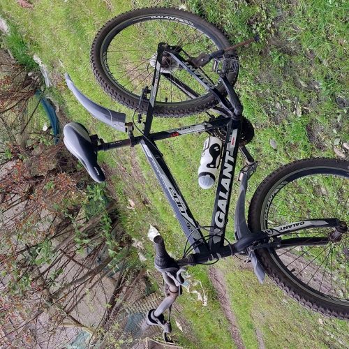 کاملا سالمه و مشکلی نداره