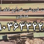 اسکلت