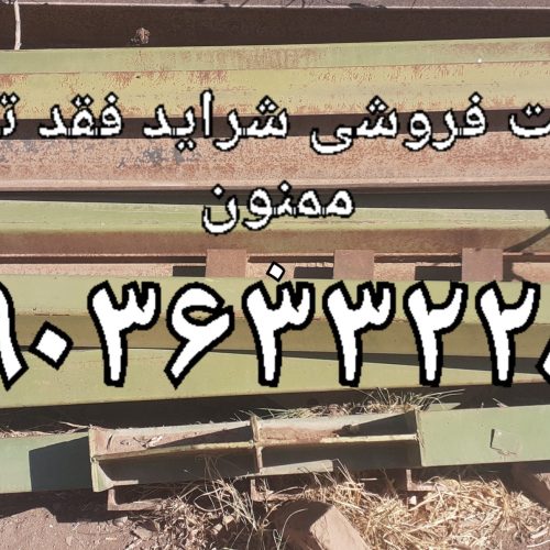 اسکلت