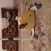 دوچرخه ثابت خانگی