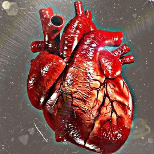 تدریس خصوصی دروس تمامی مقاطع ( کنکوری ،نهایی و..)