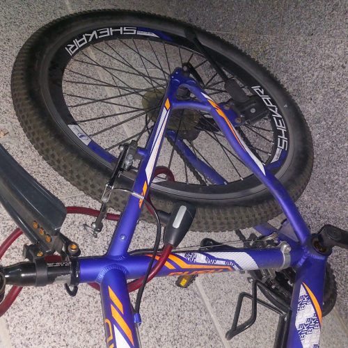 دوچرخه شهری