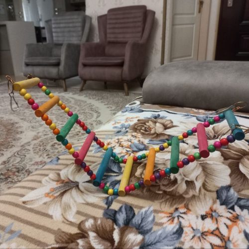 تاب عروس هلندی